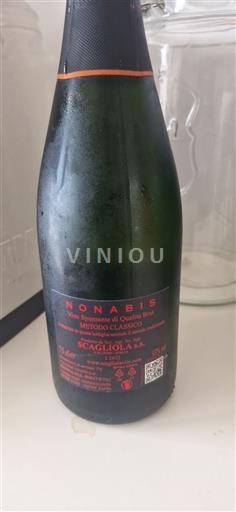 Piemonte Alta Langa Scagliola Nonabis 2024