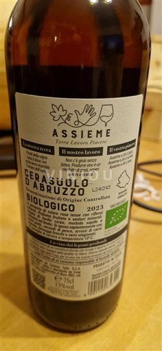 Abruzzo Không được chỉ định Cantina Tollo Assieme 2023
