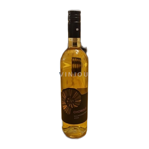 Bohemija Melnška Chorous Rulandské 2023