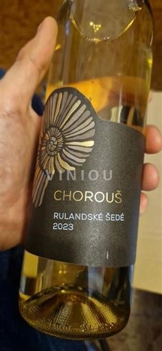 Bohemija Melnška Chorous Rulandske sede 2023