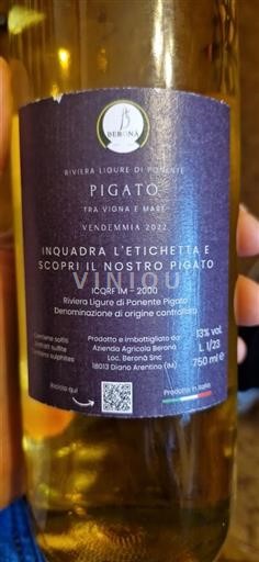 Ligurian maakunta Ponente Ligurian Riviera Berona Pigato Tra Vigna e Mare 2022