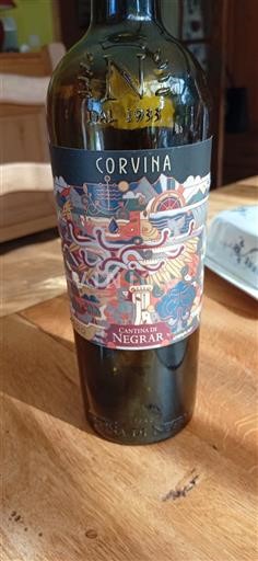 Vénétie Valpolicella Cantina di Negrar Corvina 2019