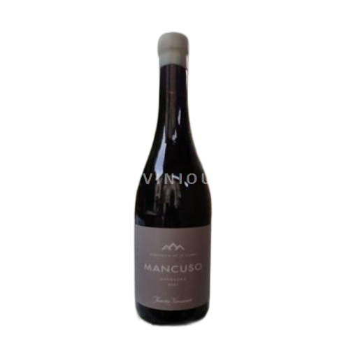 Aragon Carinena Mas de Mancuso Garnacha 2021