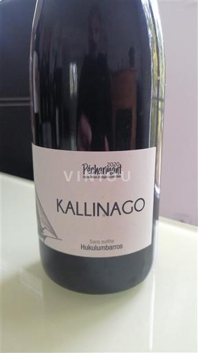 Sydvestfrankrig Pécharmant Hukulumbarros Kallinago 2020