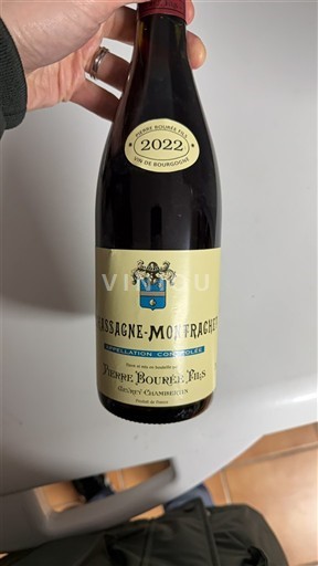 Burgundija Chassagne-Montrachet Pierre Bouree Fils 2022