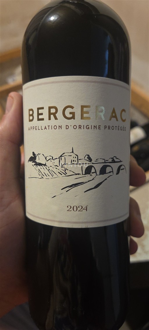 Sudoeste Bergerac Jdjejr 2024 2024