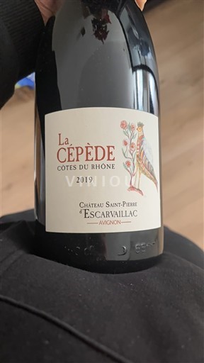 Valle del Rodano Côtes-du-Rhône Château Saint-Pierre Escarvaillac La Cépède 2019