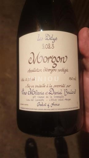 Beaujolais Morgon Vins Mélanie et Daniel Bouland Les Delys 2023