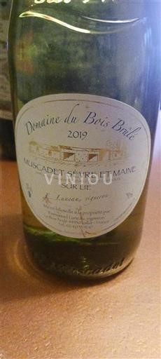 Valle del Loira Muscadet-sèvre-et-maine Domaine Bois Brûlé 2019