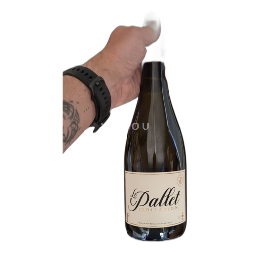 Valle del Loira Muscadet-sèvre-et-maine Le Pallet Jubilation 2016