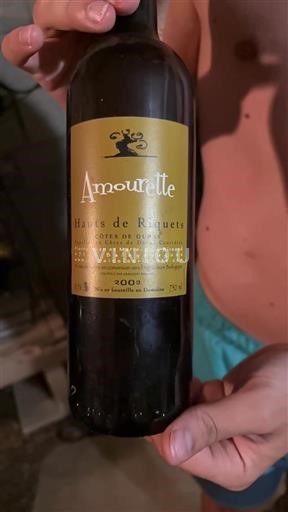 Sydvestfrankrig Côtes-de-Duras Hauts de Riquets Amourette 2009