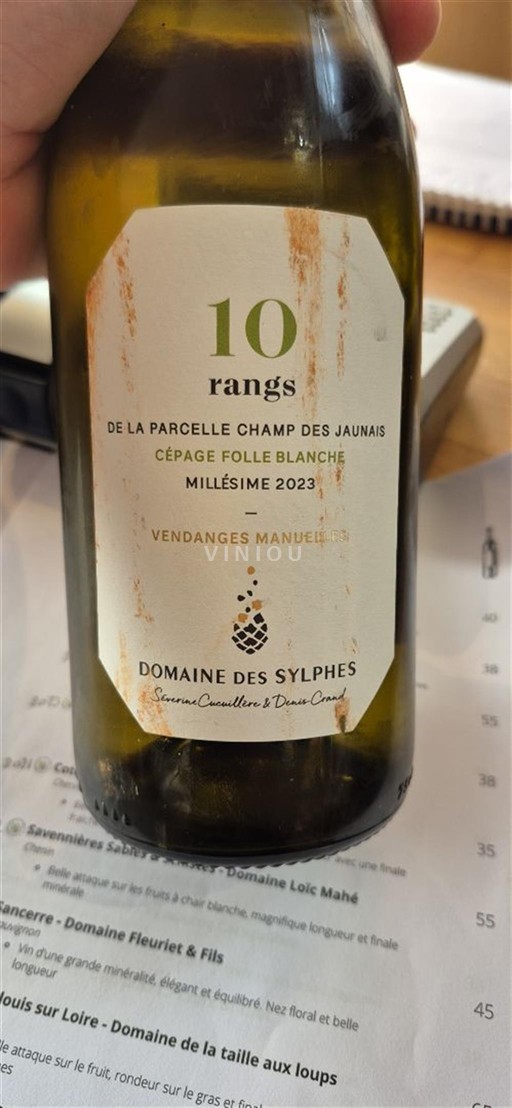 Loire-dalen Ikke specificeret Domaine Des Sylphes 10 rangs 2023