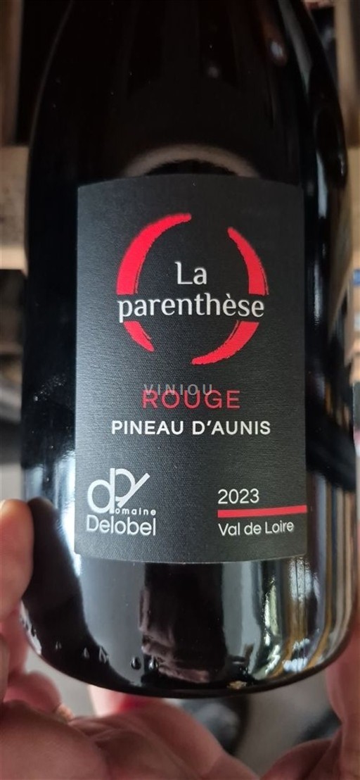 Thung lũng sông Loire Không được chỉ định Domaine Delobel 2023