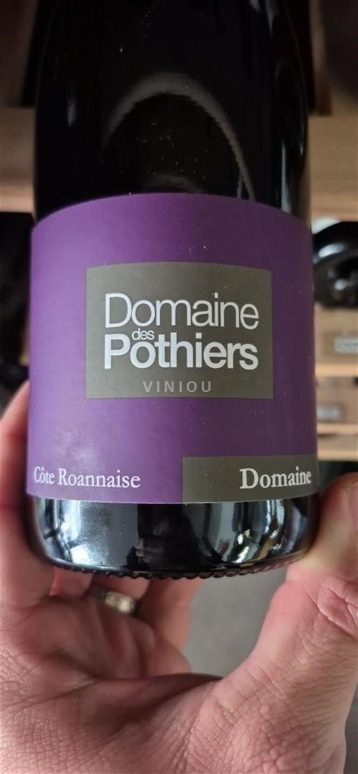 Thung lũng sông Loire Côte-roannaise Domaine Des Pothiers Không niên vụ