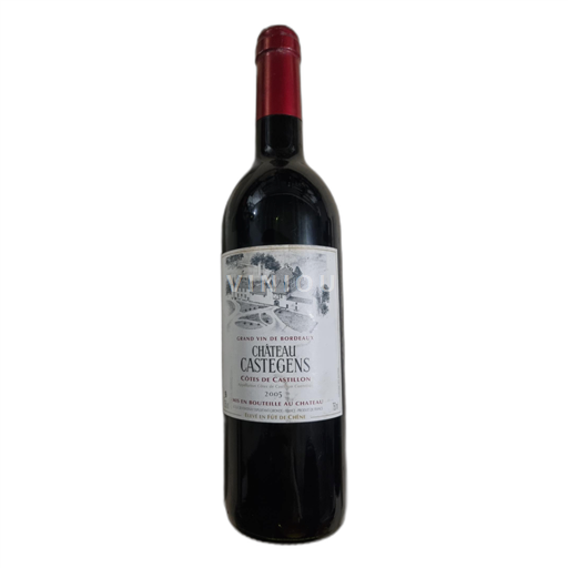 Bordeaux Määrittelemätön Château Castegens 2005