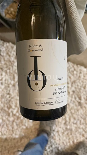 Sudoeste Côtes de Gascogne Plaimont Tendre & Gourmand 2023