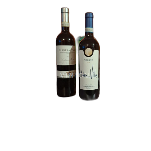 Piedmont Barbera d'Asti Gaggino Madonna della Villa 2022