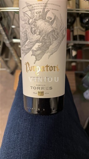 Каталонія Костерс-дел-Сегре Familia Torres Purgatori 2021