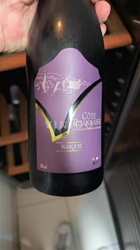 Loiren laakso Côte-roannaise Marquis 2023