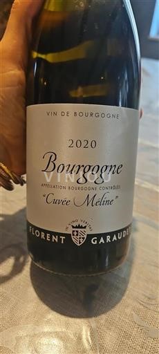 Burgundsko Florent Garaudet Méline 2020