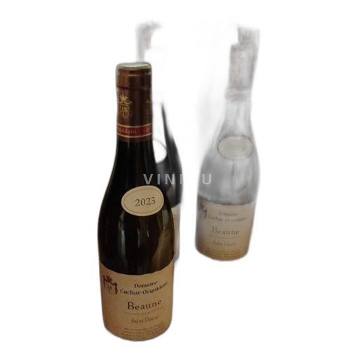 Bourgogne Beaune Domaine Cachat-Ocquidant Saint Désiré 2023
