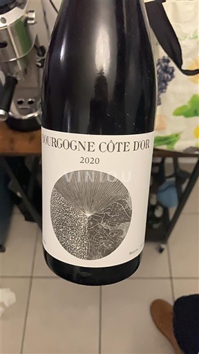 Borgoña Borgoña Côte d'Or Louis Jadot 2020