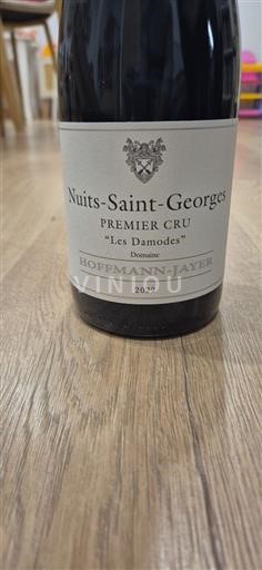 Burgundija Nuits-Saint-Georges Premier Cru Hoffmann-Jayer Les Damodes 2022