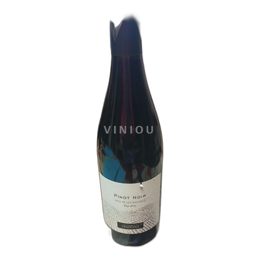 Languedoc và Roussillon Vùng đất Oc Les Vignobles de Vendéole Pinot Noir Nos Belles Rangées 2023