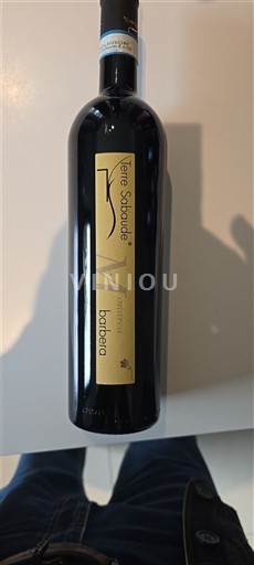 Piedmont Wines Barbera d'Asti Terre Sabau´de Non-Vintage