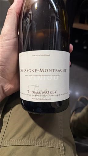 Bourgogne Chassagne-montrachet Thomas Morey 2020