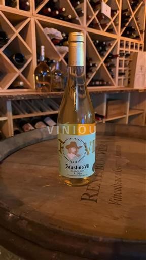 La Rioja Rioja Faustino VII 2023