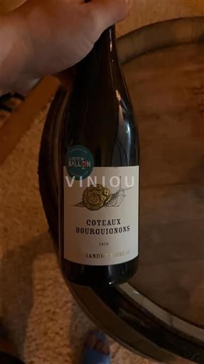 Burgundija Burgundska gricevja Xandre Loiseau 2020
