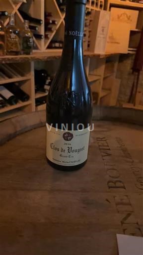 Bourgogne Clos-de-vougeot Grand Cru Domaine Michel Noëllat 2016