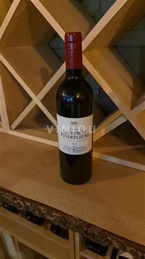 Bordeaux Saint-Émilion Grand Cru Grand Cru Château Queyron Pindefleurs 2018
