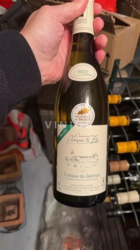 Loire Valley Coteaux du Giennois Domaine Poupat & Fils 2023