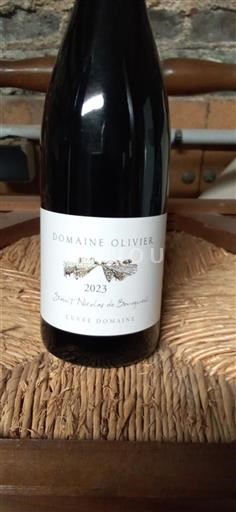 Loire Valley Saint-Nicolas-De-Bourgueil Domaine Olivier domaine 2023