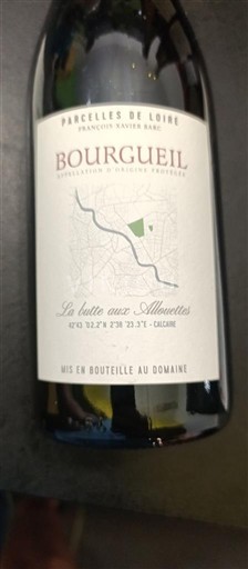 Loire-dalen Bourgueil Parcelles de Loire La lutte aux Alouettes 2023