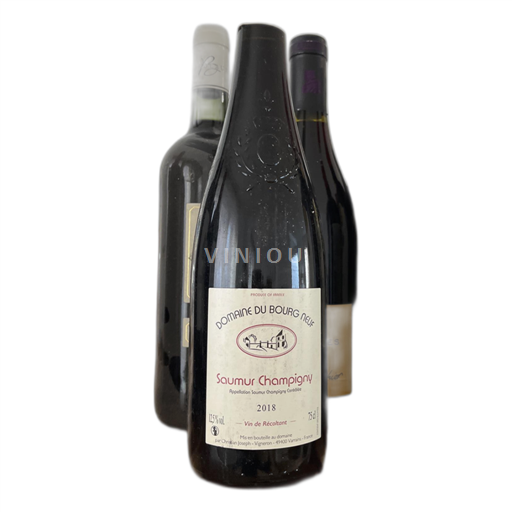 Loire Valley Saumur-Champigny Domaine Bourg Neuf 2018