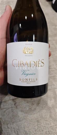 Languedoc và Roussillon Vùng đất Oc Domaine Cibadiès Viognier 2024