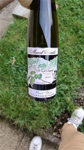 Alsazia Marcel Immélé Pinot Gris- de la cour des Voegtlins 2022