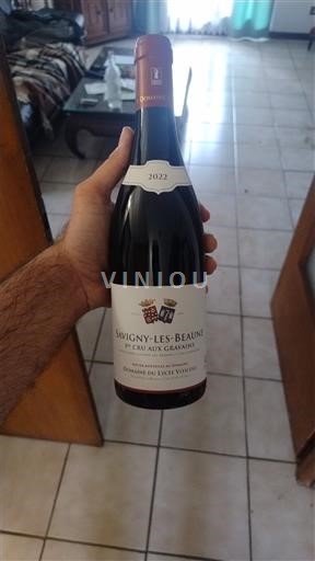 Burgundy Savigny-lès-Beaune Premier Cru Lycée Viticole 1er Cru Aux Grands Liards 2022