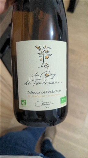 Valle del Loira Coteaux-de-l'Aubance Domaine Rouchon Un Cinq de Tendresse 2022