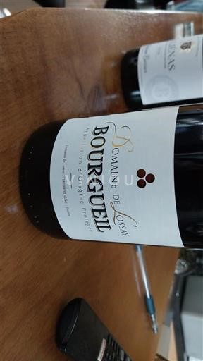 Údolí Loiry Bourgueil Domaine Lossay Neročník