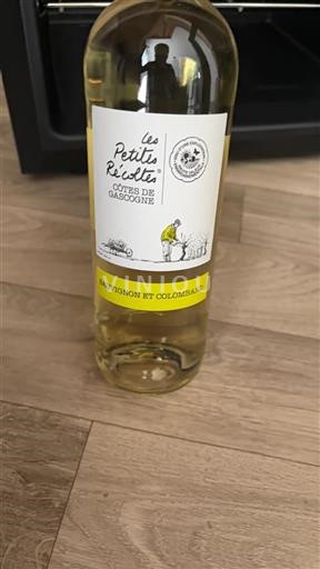 South West Côtes de Gascogne Les Petites Récoltes Sauvignon et Colombard 2024