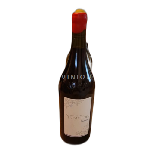Jura Côtes du Jura Domaine Des Pentacrines Poulsard 2022