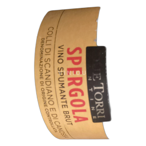 Emilia-Romagna Colli di Scandiano e di Canossa Due torri cantine Spergola Neročník