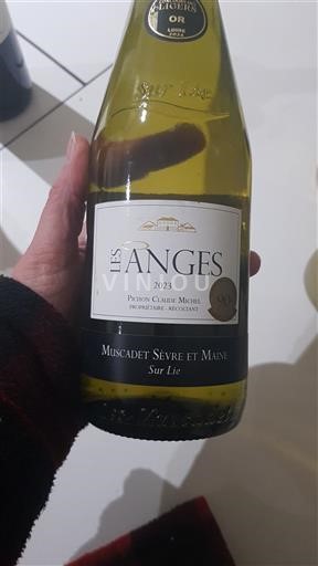 Loire Valley Muscadet Sèvre et Maine Pichon Claude Michel Les Anges 2023