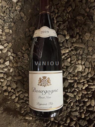 Bourgogne Pigneret Fils 2019
