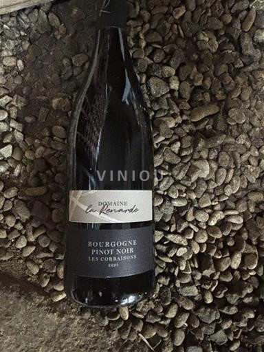 Burgundi Bourgogne Domaine La Renarde Les Corbaisons 2021