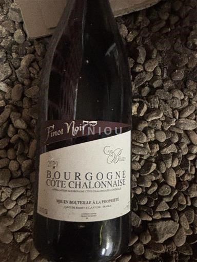 Bourgogne Bourgogne-côte-chalonnaise Cave de Bissey Pinot Noir 2020